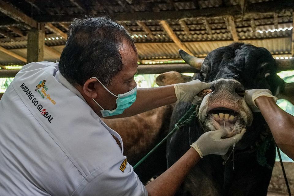 Waspada Penipuan Kurban Online Jelang Idul Adha, Ini&nbsp;Ciri-cirinya