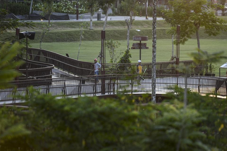 Otorita IKN Sebut 75% Kawasan Ibu Kota Nusantara Diisi Tanaman&nbsp;Endemik