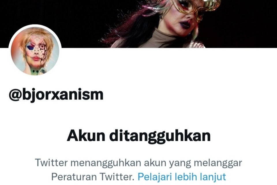 Daftar Data yang Dibobol dan Dijual Bjorka Selama Empat Tahun di Indonesia